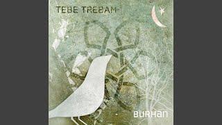 Tebe trebam