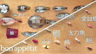 How to Make 12 Types of Sushi with 11 Different Fish  Handcrafted  Bon Appétit