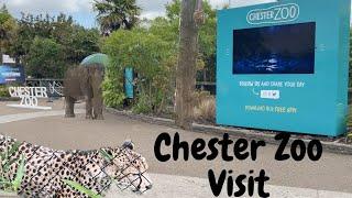 Chester Zoo Visit - 2023 New Quick Tour - A few surprises along the way
