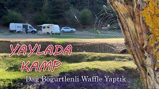 Yaylada kamp yaptık  Böğürtlen topladık waffle yaptık