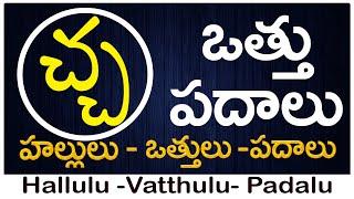 Cha Vattu Padalu  How to write Cha vattu  చ వత్తు పదాలు  Hallulu vatthulu padalu in telugu