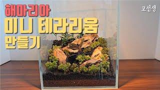 초간단 보석란 테라리움 만들기 How to make Terrarium with aquasoil