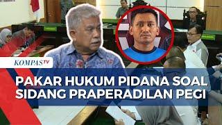 Begini Kata Hukum Pakar Pidana UI soal Jawaban Polda Jabar di Sidang Praperadilan Pegi