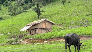 Surviving Life in the Nepali Mountain Village Best Footage for Documentary  Rural Life In Nepal
