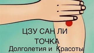 ЦЗУ Сан Ли - точка Долголетия и Красоты