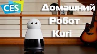 Домашний робот Kuri озвучка Ivona Maxim