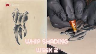 Back To Basics  Shading Tutorial  Week 2 - Whip Shading