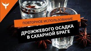 Повторное использование дрожжевого осадка дрожжей в сахарной браге