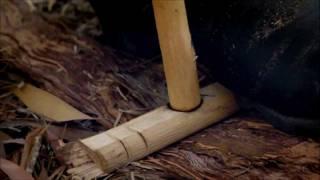 Ray Mears Bushcraft - Bow Drill Fire Lighting - Rozpalanie ognia - łuk ogniowy