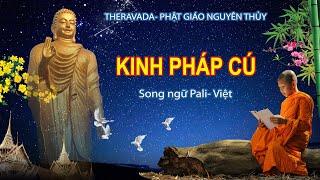 KINH PHÁP CÚ-pali-việt  423 câu dhammapada song ngữ