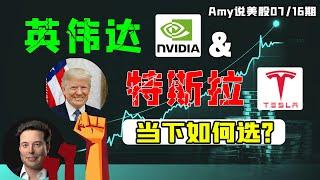 【美股深度分析】英伟达VS特斯拉，哪个股票更有操作价值？？｜#lly#TSLA#ML#NVDA#WMT#AAPL#msft #纳指#Amy说美股#amzn