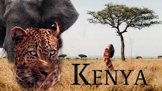 Unseen Stories  On Safari in Kenya