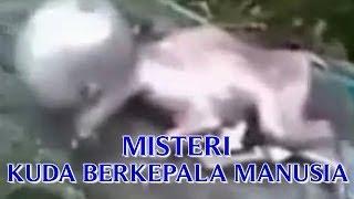 MISTERI KUDA BERKEPALA MANUSIA KUDA MELAHIRKAN ANAK BERKEPALA MANUSIA VIDEO NYATA 