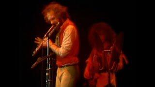 Jethro Tull - Songs From The Wood Live At Capital Centre Landover 1977