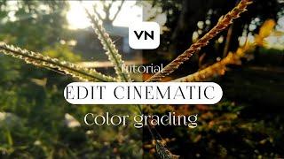 CARA EDIT CINEMATIC DI ANDROID  TUTORIAL COLOR GRADING DI VN  VN TUTORIAL