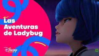 Tráiler Temporada 5 Las aventuras de Ladybug  Disney Channel Oficial