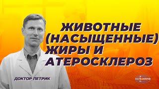 Как жирное мясо и сливочное масло повышают липопротеины низкой плотности и риски.