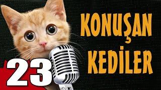 Konuşan Kediler 23 - En Komik Kedi Videoları
