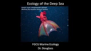 Marine Ecology Lecture Deep Sea