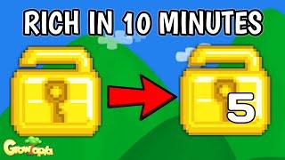 WL TO 5 WLS  HOW TO GET RICH FOR NEWBIE - Growtopia