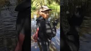 Mancing spot banjiran ikan gabus
