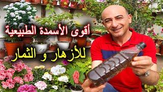 أفضل سماد طبيعي للأزهار و الثمار  سماد شاي الفيرمي كمبوست