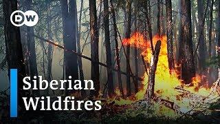 Wildfires in Russia A climate catastrophe  DW News