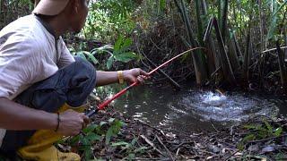 Rejeki mancing di rimba