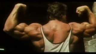 Arnold Schwarzenegger Bodybuilding Motivation 2013 HD
