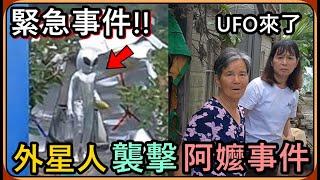 【Ru儒哥】緊急事件‼️鄉村阿嬤受到了外星人的襲擊，居然偷她種的菜…阿嬤火大了