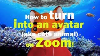 Zoom now lets you use avatars   