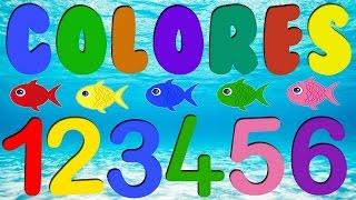 Los números y colores para niños
