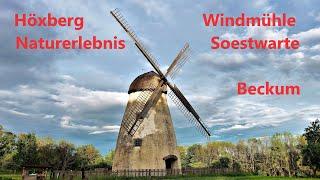 Wandern um den Höxberg - Erlebnispark Windmühle und Soestwarte2021 4k