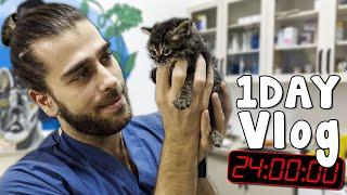 YAVRU KEDİ SALDIRISI   Klinikte 1 Gün VLOG 