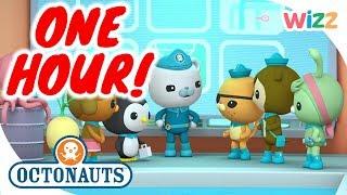 @Octonauts - One Hour Special Compilation  Cartoons for Kids  Wizz