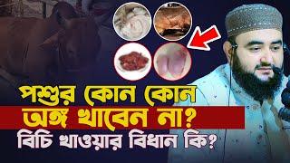 পশুর কোন কোন অঙ্গ খাবেন না বিচি খাওয়ার বিধান কি ? mustafiz rahmani