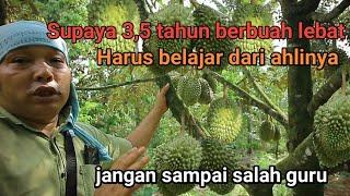 TIGA TAHUN DURIAN BERBUAH LEBAT HARUS BELAJAR DARI AHLINYA JANGAN SAMPAI SALAH GURU