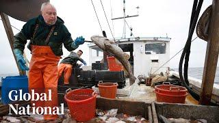 Global National June 26 2024  Newfoundland and Labrador cod moratorium ends after 32 years