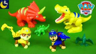 Paw Patrol Dino Rescue DINOSAURS T-Rex Chase Mighty Pups Super Paws Unboxing Toys Videos for Kids