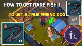 How To Get Rare Fish To Get a True Friend Dog  Last Day On Earth Survival