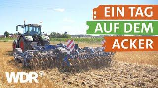 Annis Leben als Landwirtin  neuneinhalb – Deine Reporter  WDR