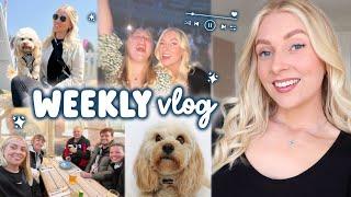 i’ve lost the plot. also a family trip london gig & dog fest WEEKLY VLOG