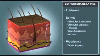 Quemaduras Primeros Auxilios