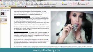 PDF-XChange Editor - Zensur Text schwärzen