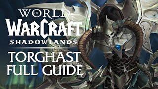 The ULTIMATE Guide to Torghast - Full System Overview  Shadowlands