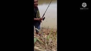 Mancing sungai Tampakan Tanah Grogot Kaltim