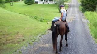 Riding a horse backwards...