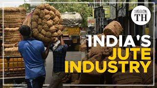 The jute industry in India