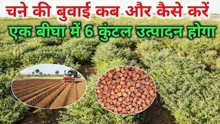 चने की बुवाई कब और कैसे करें  Chane Ki Kheti  Chane Ki Kheti Kaise Karen