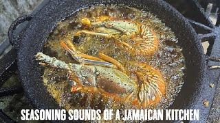 SEASONING CHICKEN LOBSTER AND CONCH ASMR SOUNDS OF A JAMAICAN KITCHEN